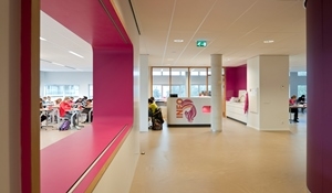 Nieuwe publicatie Schooldomein januari 2017