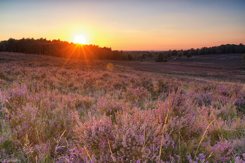 Nuchter omgaan met stikstof