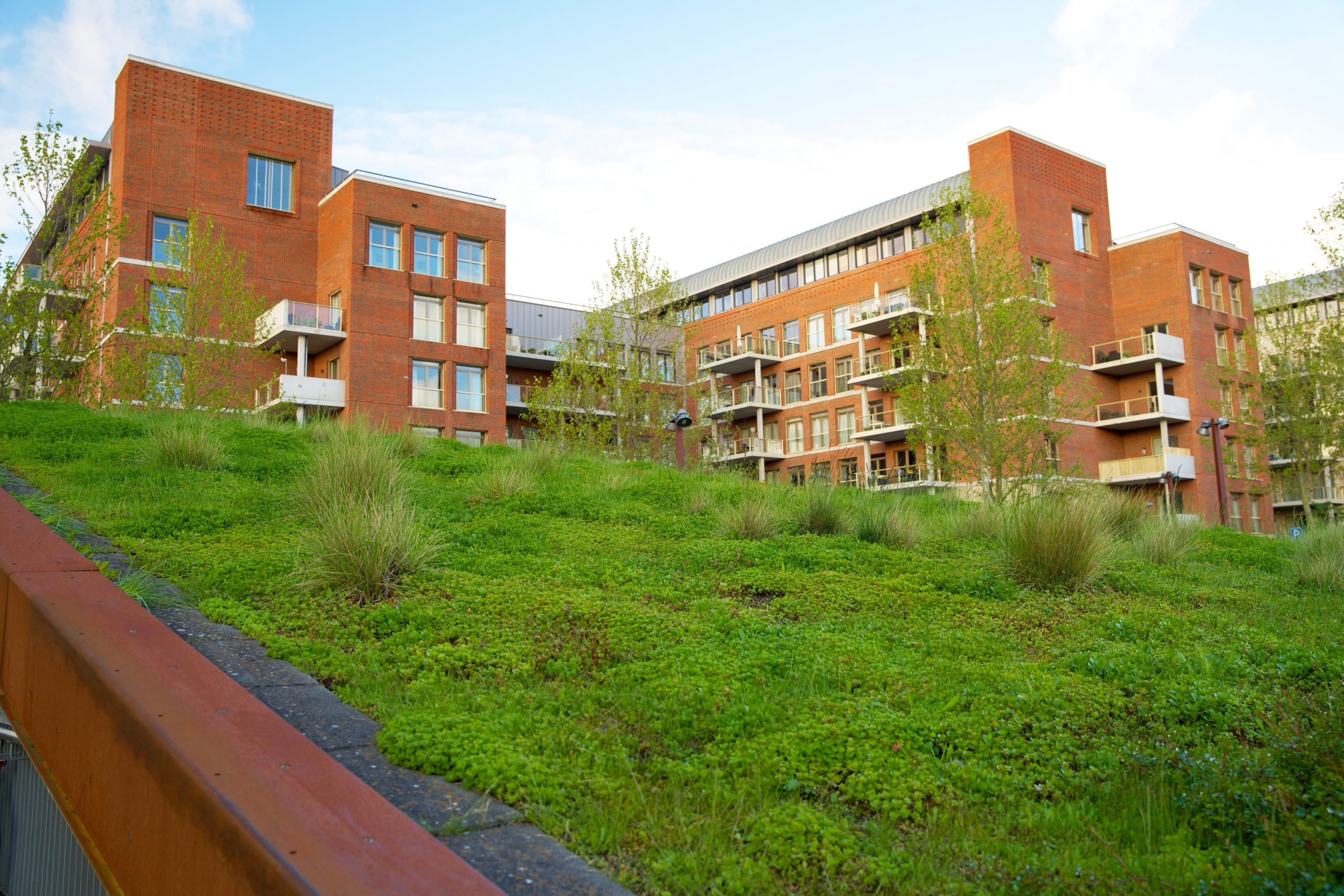 Na pandemie: duurzaamheid in de zorg